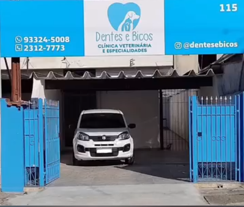 Veterinária cuidando de um cão feliz e saudável